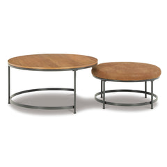 Drezmoore Nesting Coffee Tables (Set of 2)