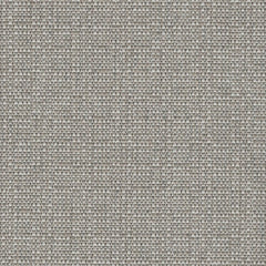 Ash Grey fabric swatch