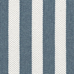 Blue Stripe fabric swatch