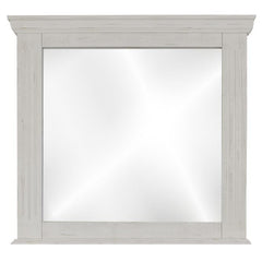 Terra White 6-Drawer Dresser and Mirror by IFD