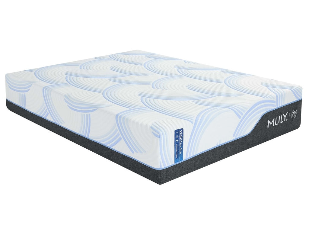 WellFlex Ice 3.0 14