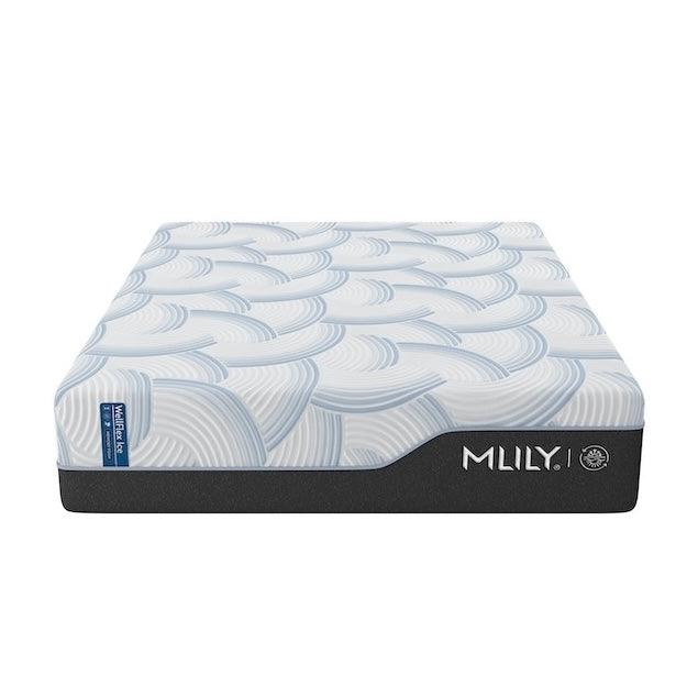 WellFlex Ice 3.0 14" Plush California King Mattress by Mlily