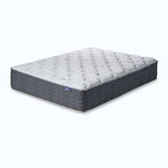 Dream Collection Reflection Bay Queen Mattress by Jamison