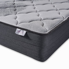Dream Collection Verdi Square Plush Queen Mattress by Jamison